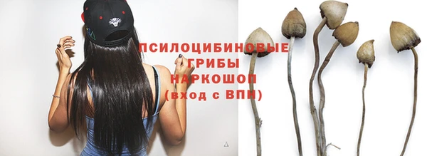 ALPHA-PVP Инсар