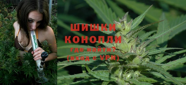 ALPHA-PVP Инсар