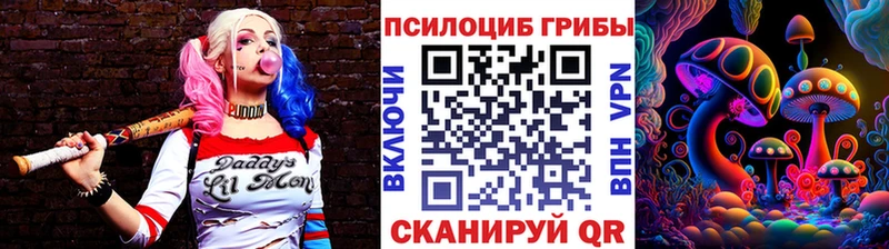 Галлюциногенные грибы Magic Shrooms Купить Вяземский